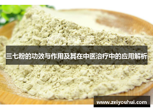 三七粉的功效与作用及其在中医治疗中的应用解析